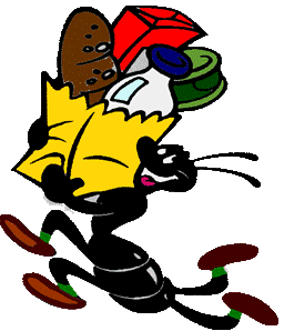 banco_alimentare_news